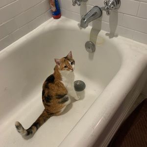 Meet your Posher, Mr. grumps